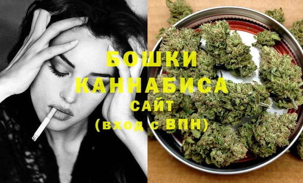 PSILOCYBIN Алзамай