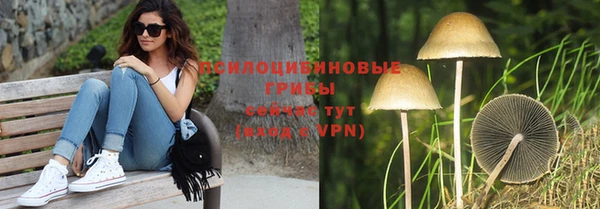 таблы Алексин