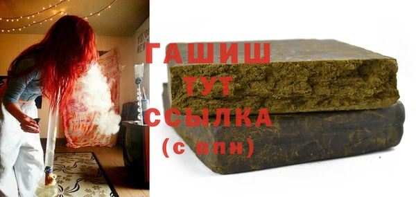 PSILOCYBIN Алзамай