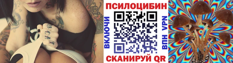 blacksprut ссылки  Белореченск  Псилоцибиновые грибы Magic Shrooms  закладки 