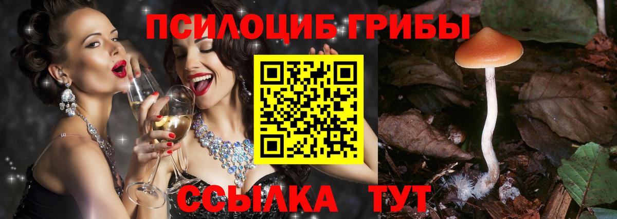 Белореченск  Галлюциногенные грибы GOLDEN TEACHER  Вход с VPN  Псилоцибиновые грибы ЛСД 